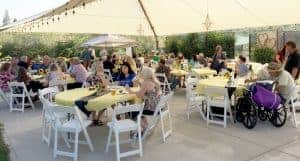 Summer Social