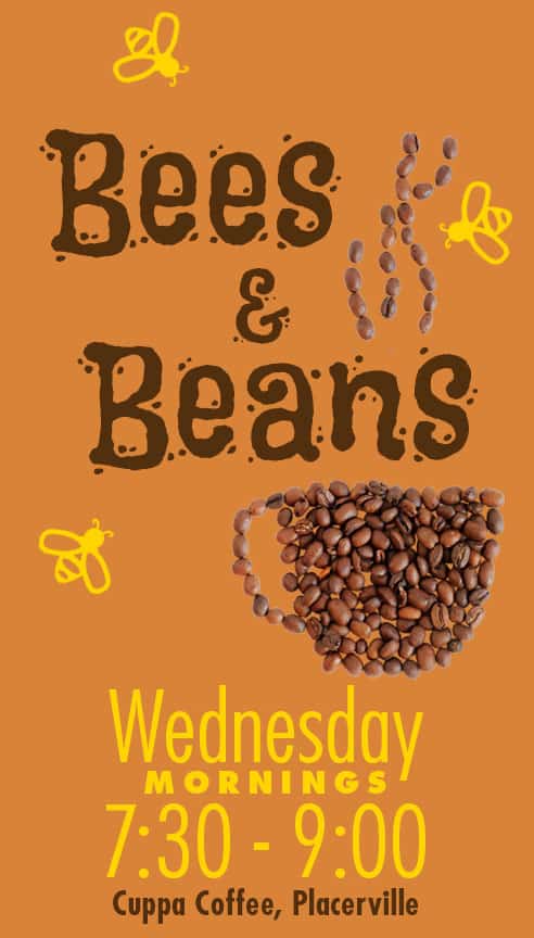 Bees Beans