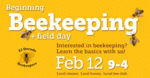 2022 beginning beekeeping