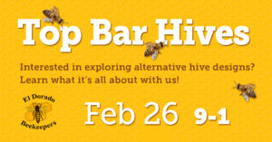 top bar hive 2022 1200x627