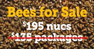 bees for sale