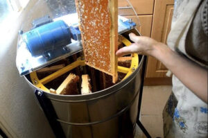 honey extractor