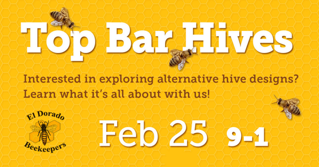 top bar hive 2023